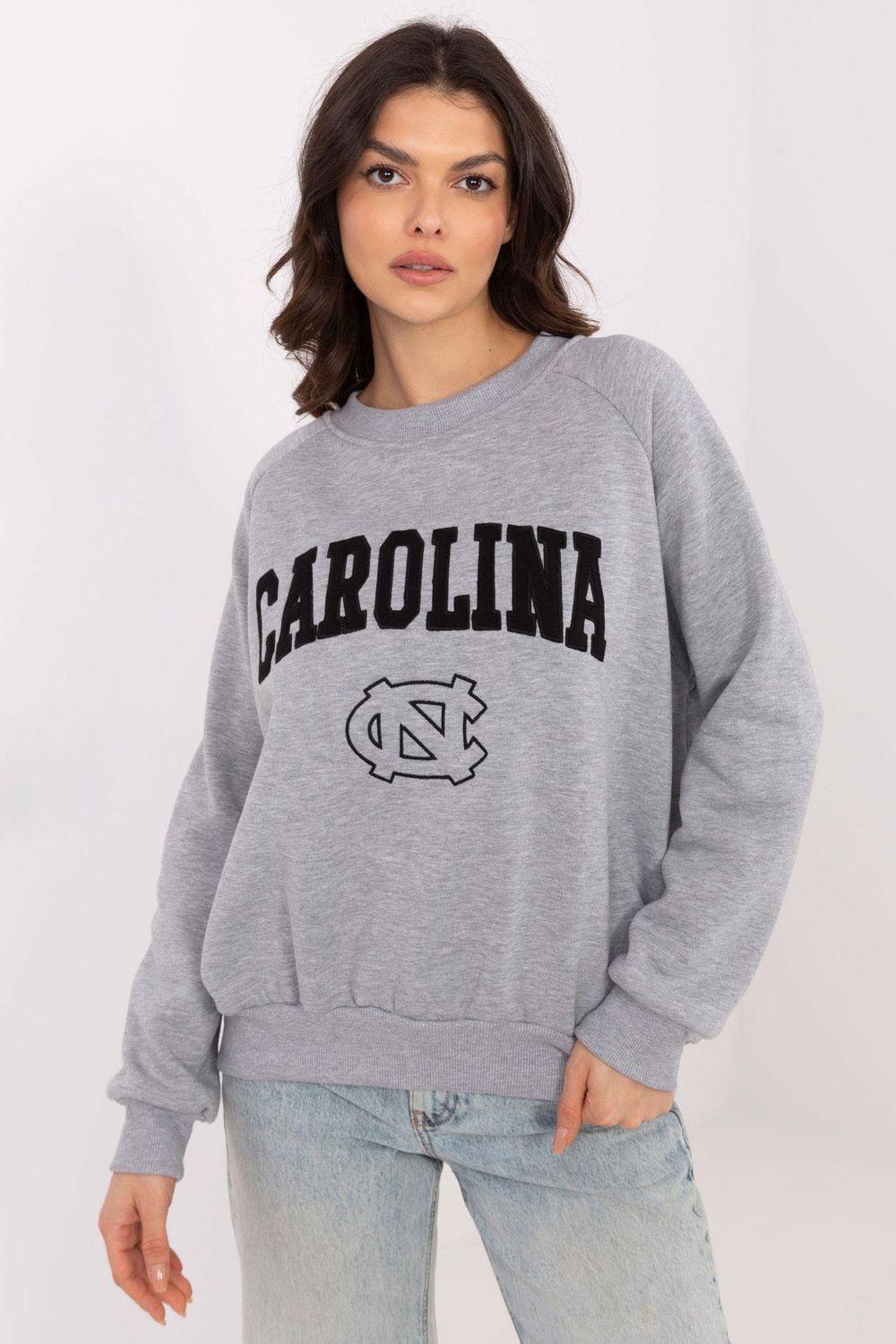 1057418 Sweatshirt model 206348 Factory Price
