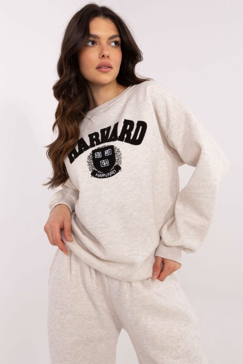 1057508 Sweatshirt model 206378 Factory Price