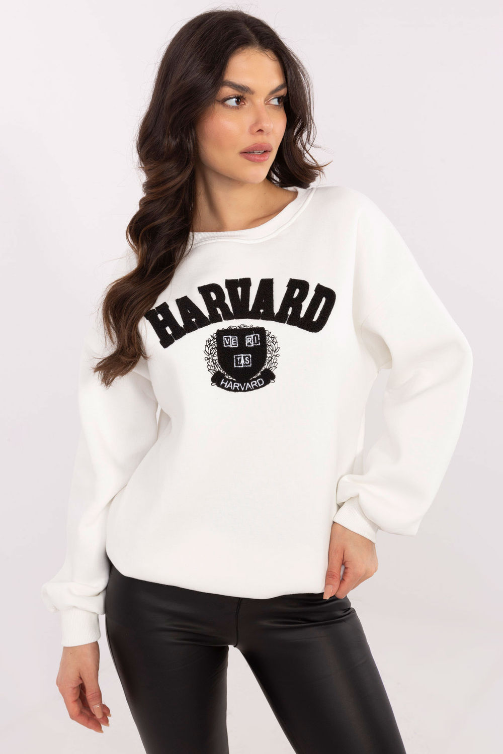 1057511 Sweatshirt model 206379 Factory Price