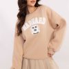 1057520 Sweatshirt model 206382 Factory Price