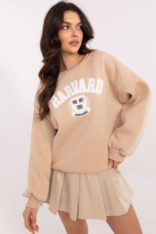 1057520 Sweatshirt model 206382 Factory Price