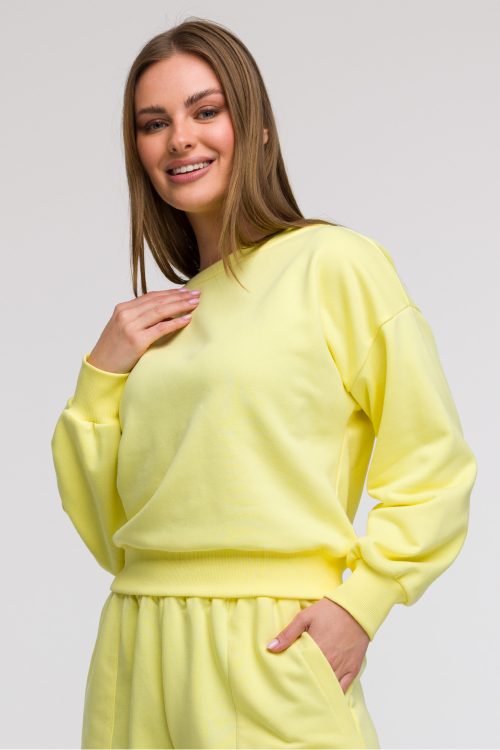 1073668 Sweatshirt model 211529 BeWear
