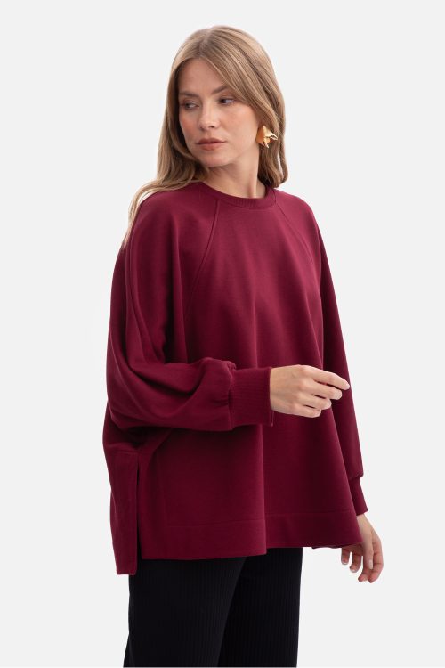 1095258 Sweatshirt model 218642 BeWear