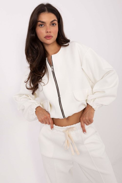 1102397 Sweatshirt model 220960 Factory Price