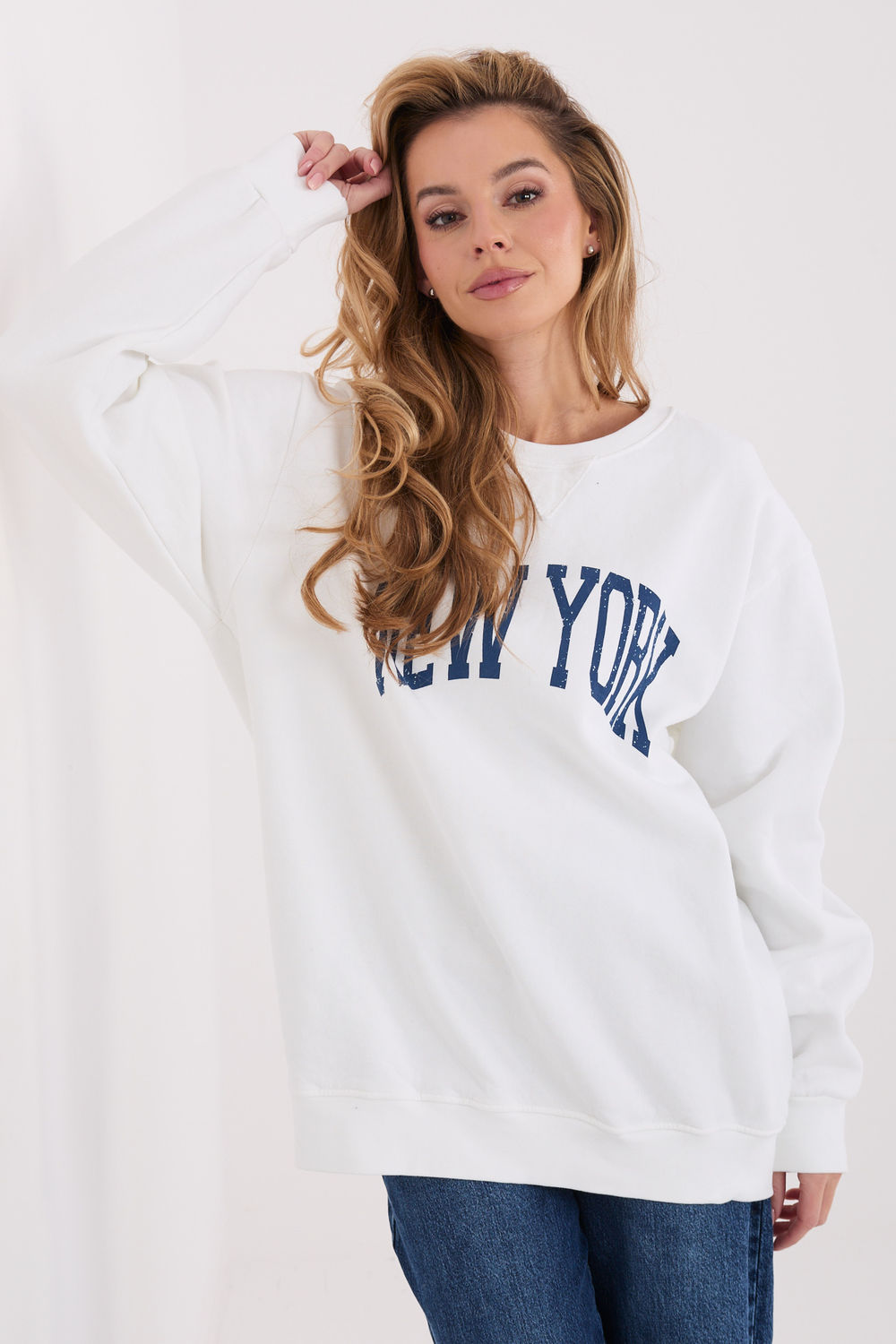 1107410 Sweatshirt model 222505 Factory Price