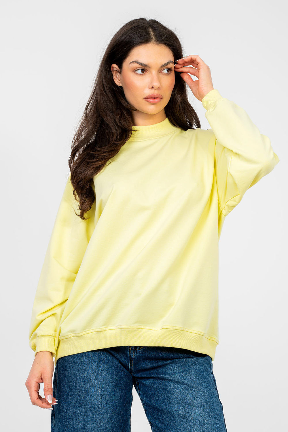 1115785 Sweatshirt model 224943 BFG