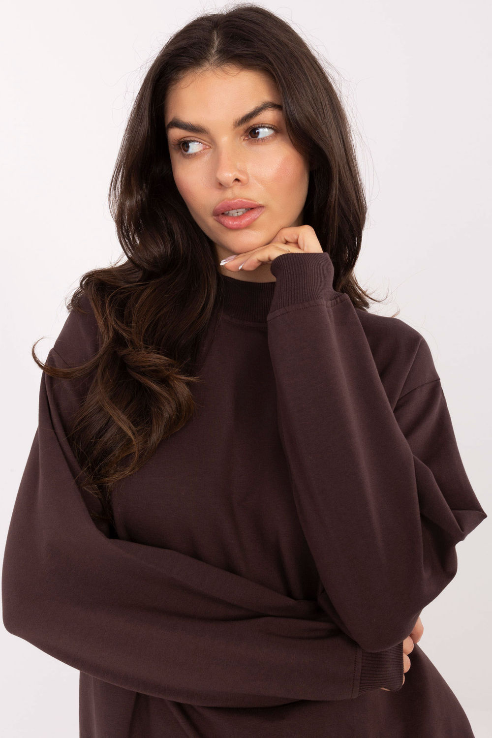 1115791 Sweatshirt model 224945 BFG