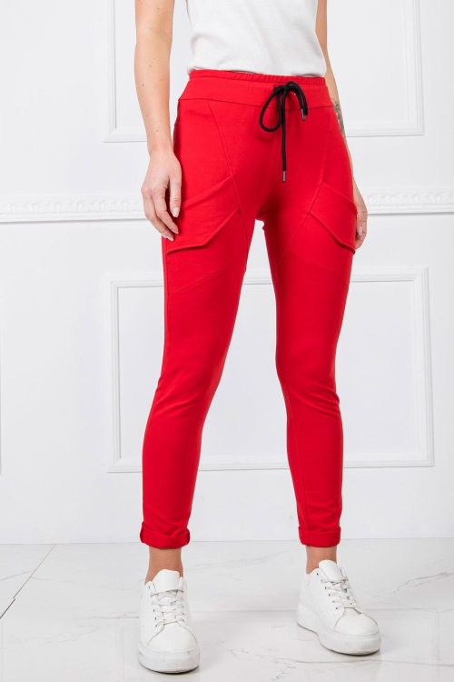 938511 Tracksuit trousers model 166221 BFG