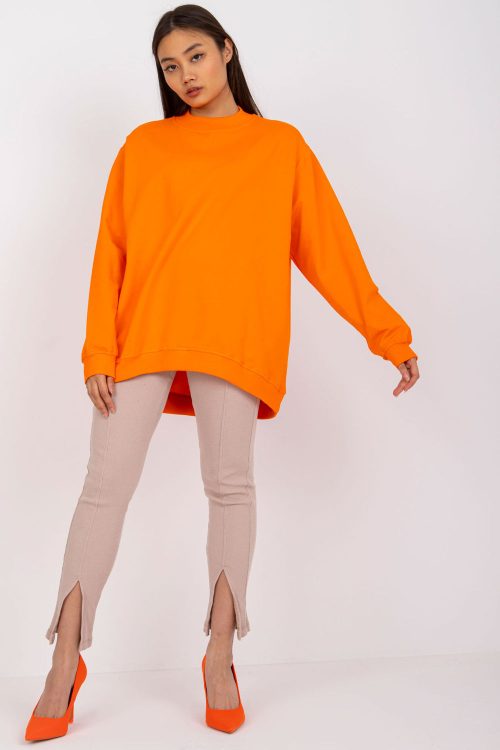 949185 Sweatshirt model 169764 BFG