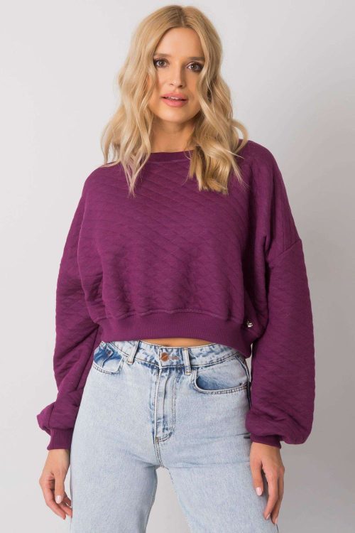 949210 Sweatshirt model 169773 BFG