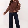 1107037 brown Long sleeve shirt model 222387 Sublevel