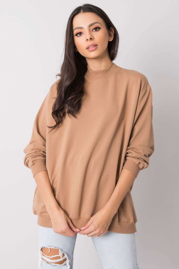 brown Sweatshirt model 169752 BFG