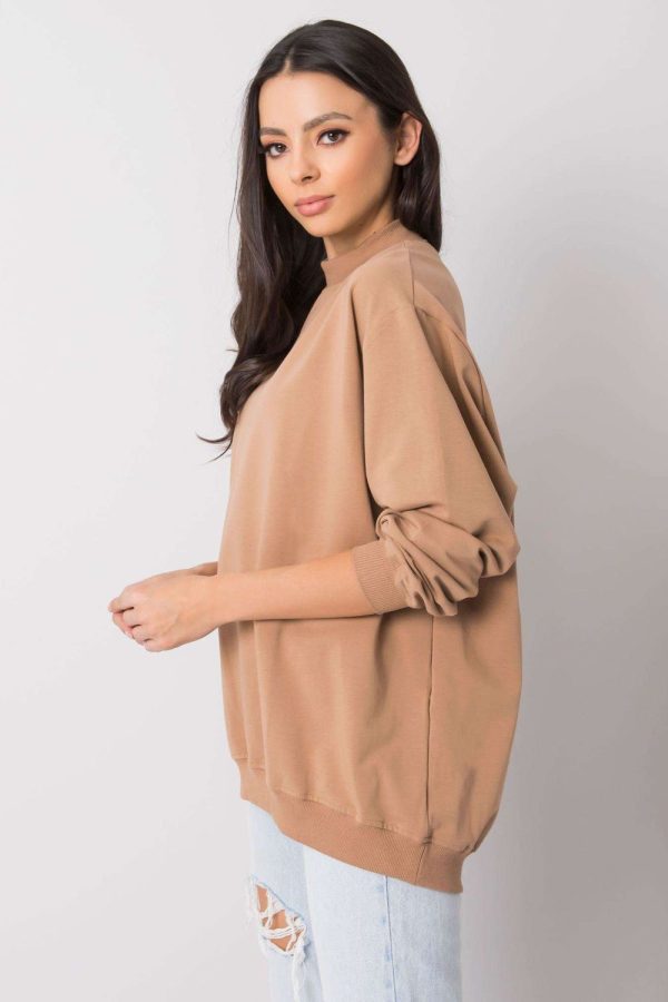 brown Sweatshirt model 169752 BFG