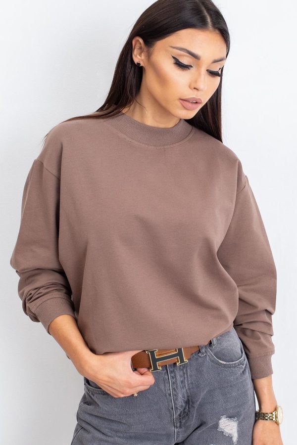 brown Sweatshirt model 169761 BFG