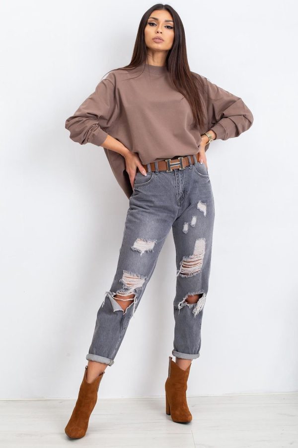 brown Sweatshirt model 169761 BFG