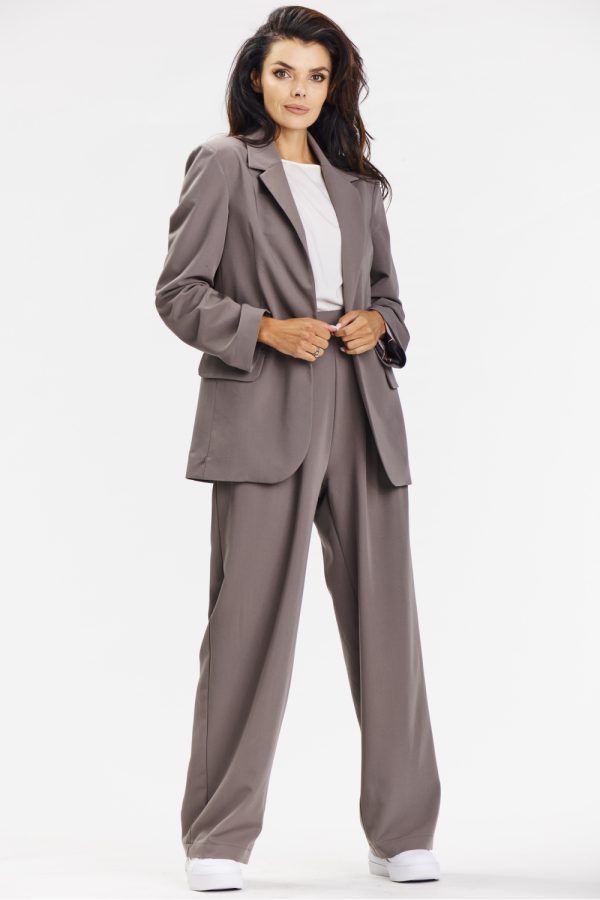 Brown Women Trousers in Pants, Trousers, Shorts with Spandex, Polyester and Viscose
