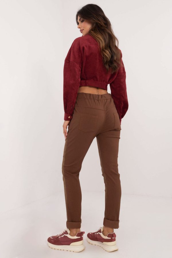 Brown Women Trousers in Pants, Trousers, Shorts with Spandex, Nylon and Viscose