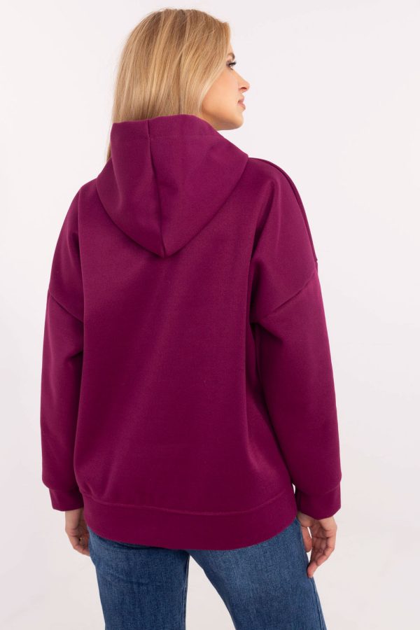 Violet Sweatshirt in Sweatshirts For Women with Polyester