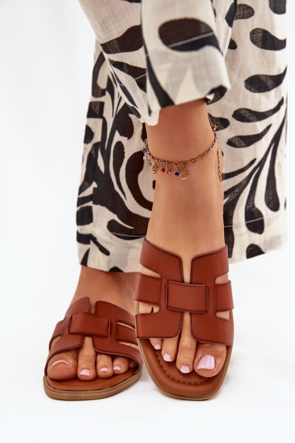 brown Flip-flops model 216115 Step in style