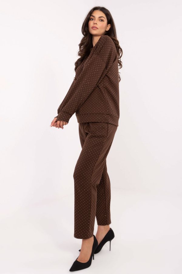 Brown Set in Pants, Trousers, Shorts with Polyester and Viscose