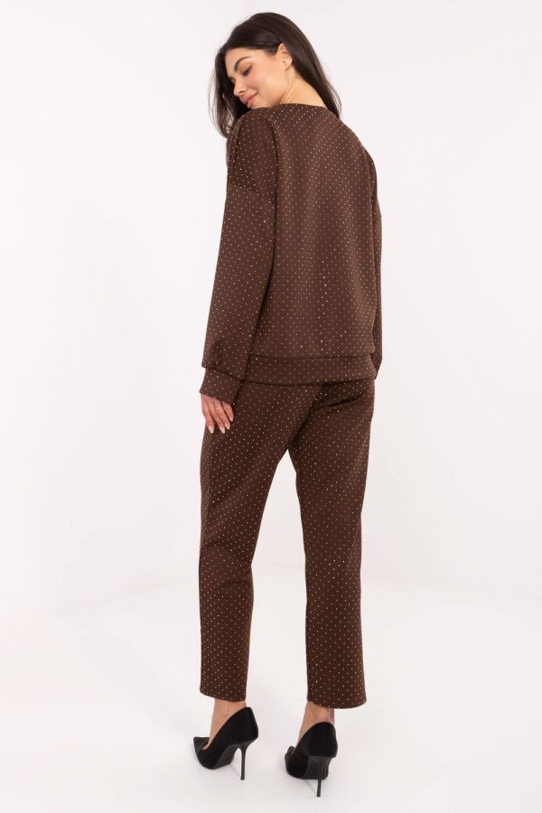 Brown Set in Pants, Trousers, Shorts with Polyester and Viscose
