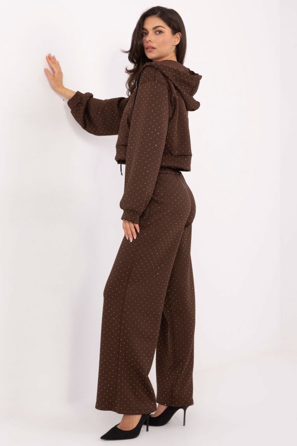 Brown Set in Pants, Trousers, Shorts with Polyester and Viscose