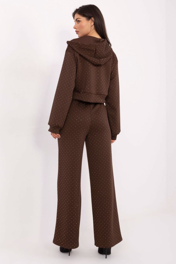 Brown Set in Pants, Trousers, Shorts with Polyester and Viscose