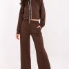 Brown Set in Pants, Trousers, Shorts with Polyester and Viscose