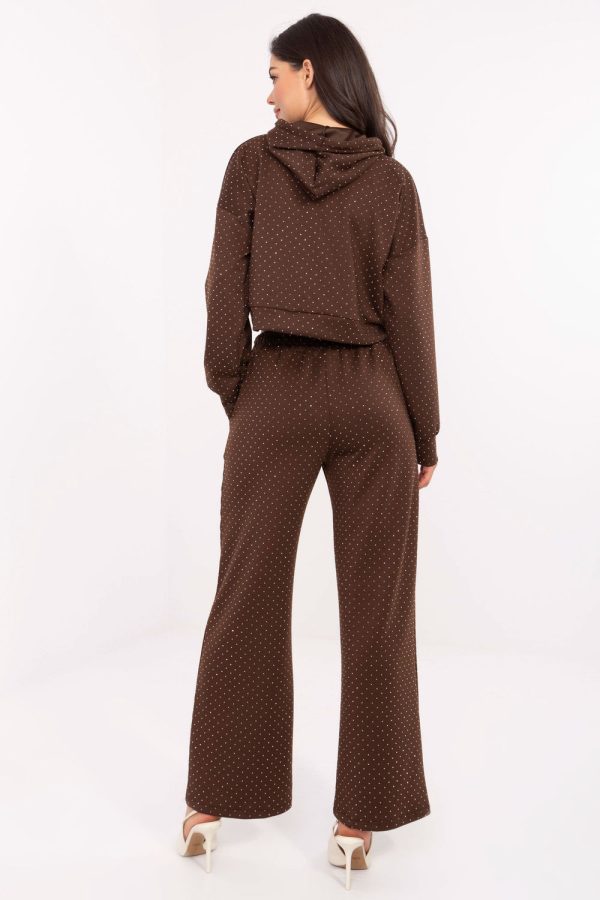 Brown Set in Pants, Trousers, Shorts with Polyester and Viscose