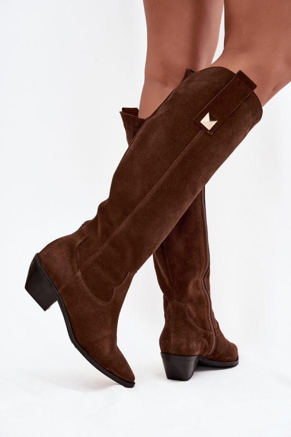 brown Heel boots model 220208 Step in style