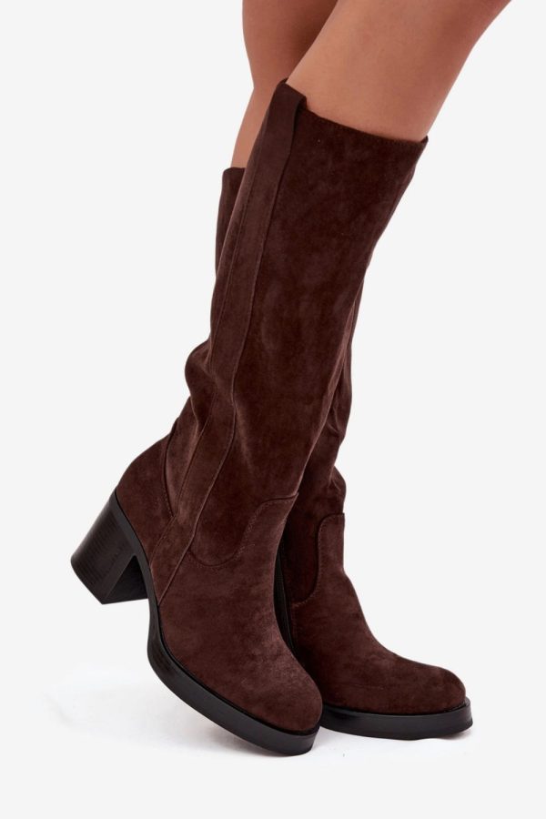 brown Heel boots model 220223 Step in style