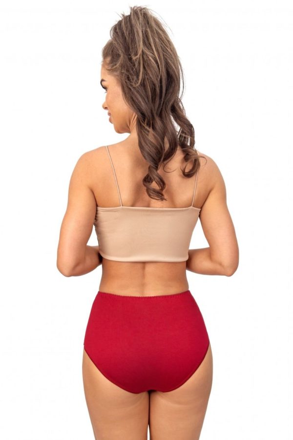 Red Panties in Briefs with Spandex and Viscose