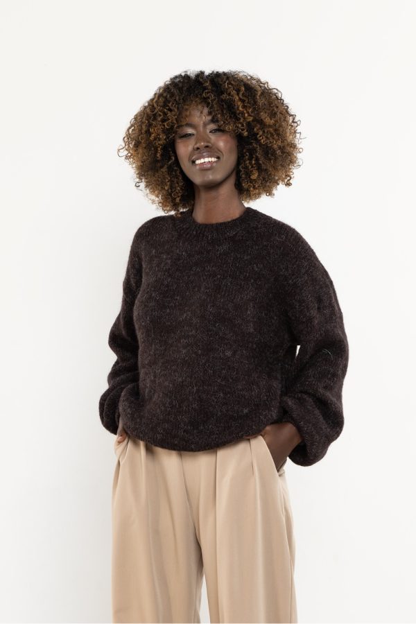 Brown Jumper in Sweaters, Pullovers, Jumpers, Turtlenecks, Boleros, Shrugs with Acrylic, Moher, Polyamide and Wool