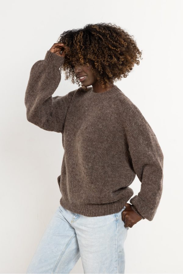 Brown Jumper in Sweaters, Pullovers, Jumpers, Turtlenecks, Boleros, Shrugs with Acrylic, Moher, Polyamide and Wool