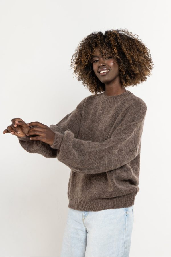Brown Jumper in Sweaters, Pullovers, Jumpers, Turtlenecks, Boleros, Shrugs with Acrylic, Moher, Polyamide and Wool