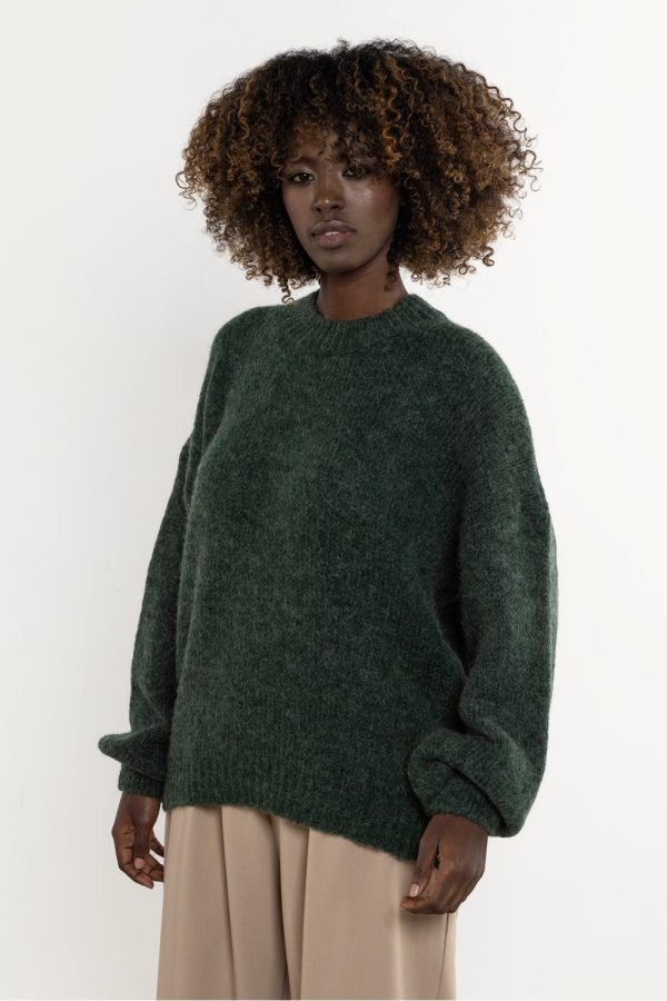 Green Jumper in Sweaters, Pullovers, Jumpers, Turtlenecks, Boleros, Shrugs with Acrylic, Moher, Polyamide and Wool