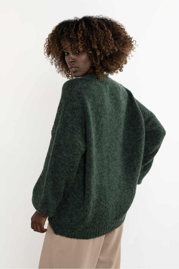 Green Jumper in Sweaters, Pullovers, Jumpers, Turtlenecks, Boleros, Shrugs with Acrylic, Moher, Polyamide and Wool