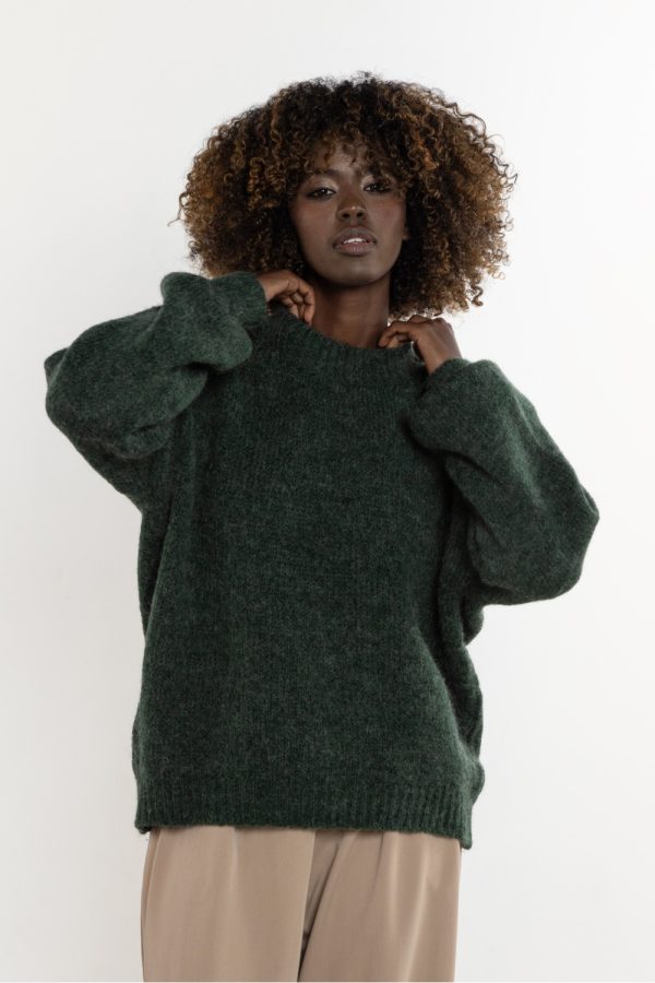 Green Jumper in Sweaters, Pullovers, Jumpers, Turtlenecks, Boleros, Shrugs with Acrylic, Moher, Polyamide and Wool