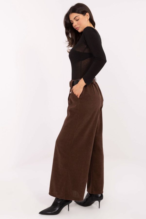 Brown Women's Pants in Pants, Trousers, Shorts with Spandex and Polyester