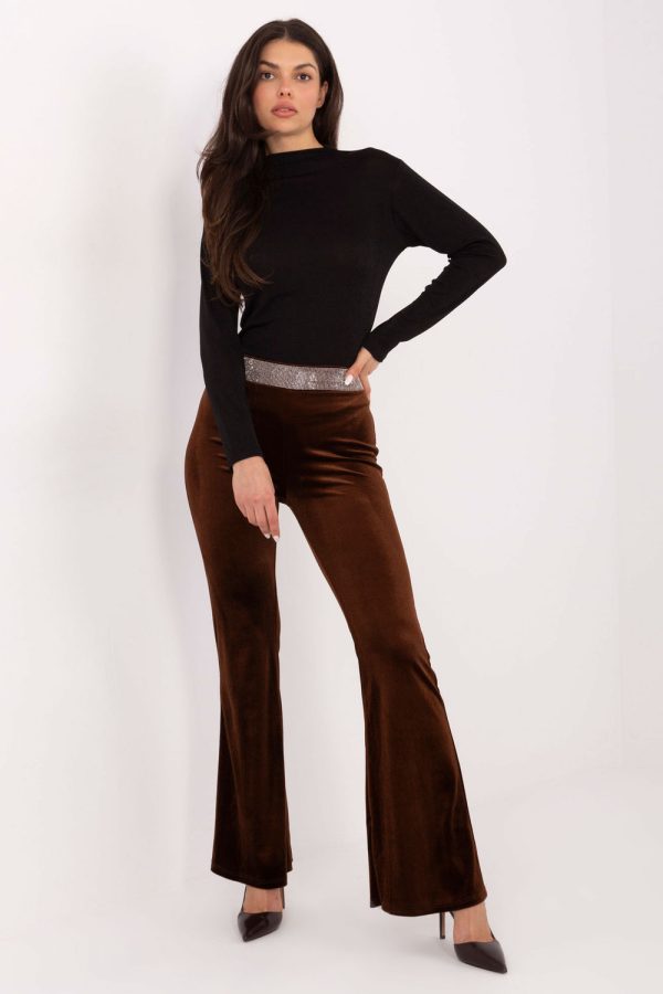Brown Women Trousers in Pants, Trousers, Shorts with Polyester and Viscose