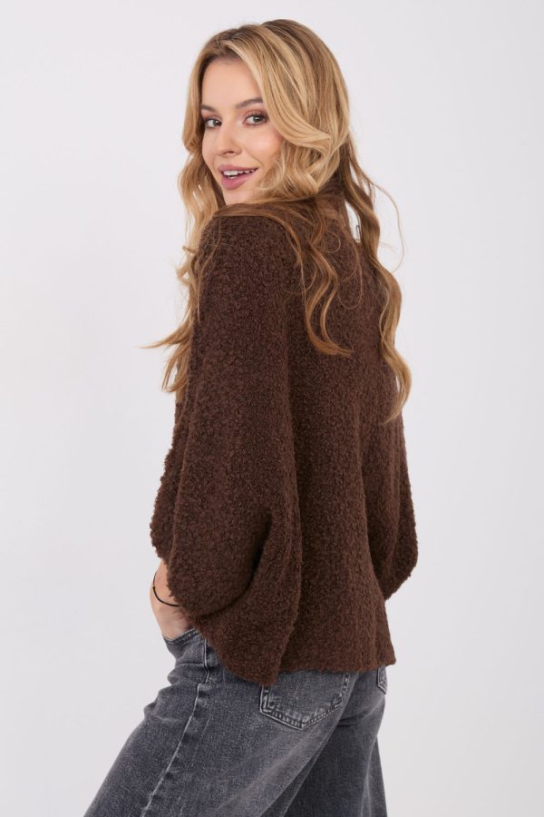 Brown Jumper in Sweaters, Pullovers, Jumpers, Turtlenecks, Boleros, Shrugs with Acrylic, Polyamide, Viscose and Wool