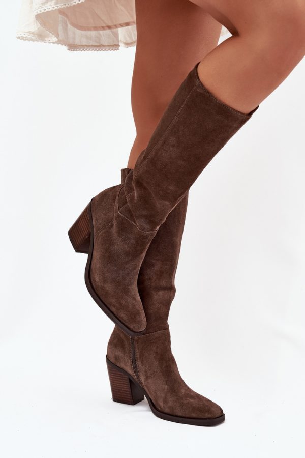 brown Heel boots model 223008 Step in style