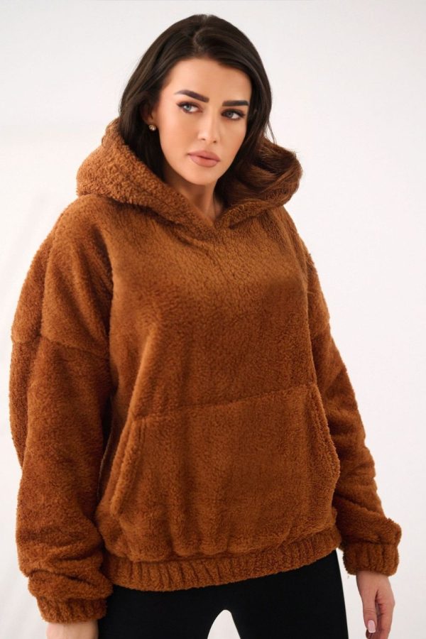 Brown Sweatshirt in Sweatshirts For Women with Polyester