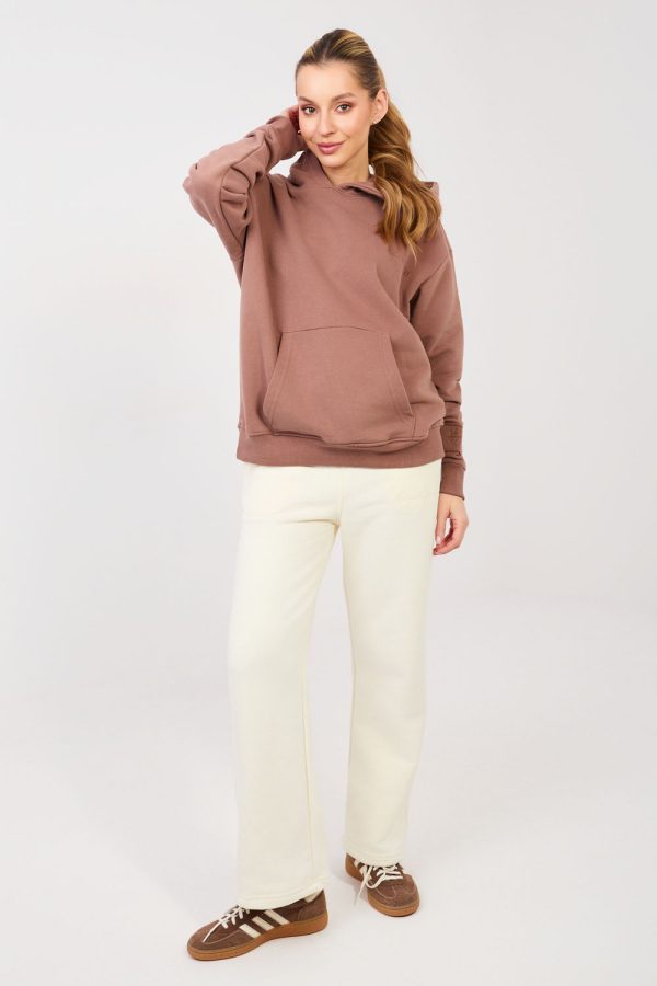 Brown Sweatshirt in Sweatshirts For Women with Cotton and Polyester