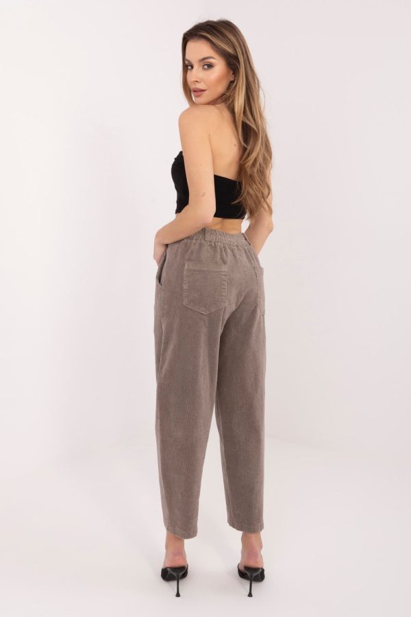 Beige Corduroy Trousers in Pants, Trousers, Shorts with Cotton and Spandex