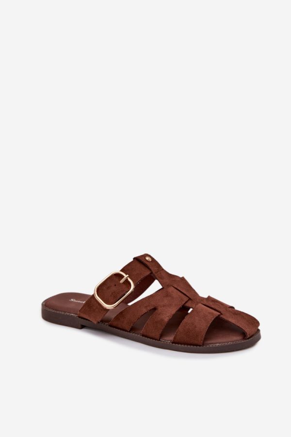 brown Flip-flops model 225381 Step in style