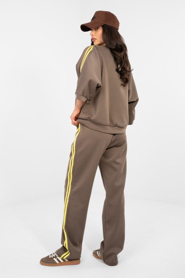 Brown Set in Pants, Trousers, Shorts with Spandex, Polyester and Viscose