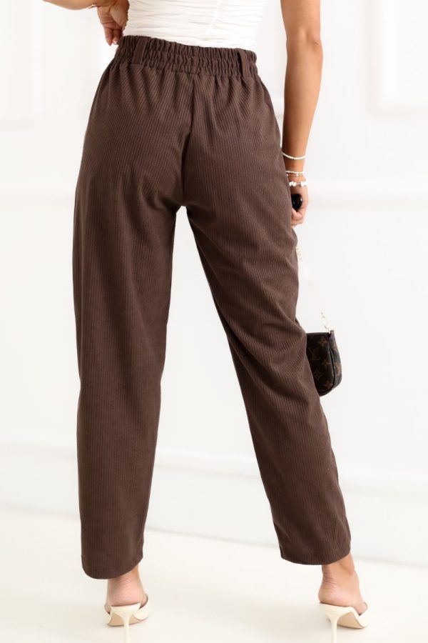 Brown Corduroy Trousers in Pants, Trousers, Shorts with Polyester