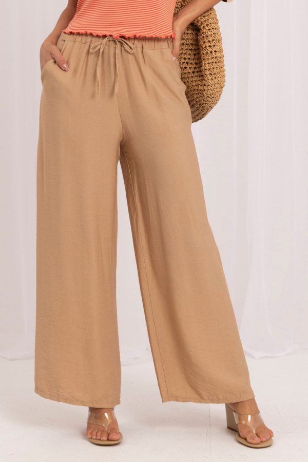 Brown Women Trousers in Pants, Trousers, Shorts with Viscose