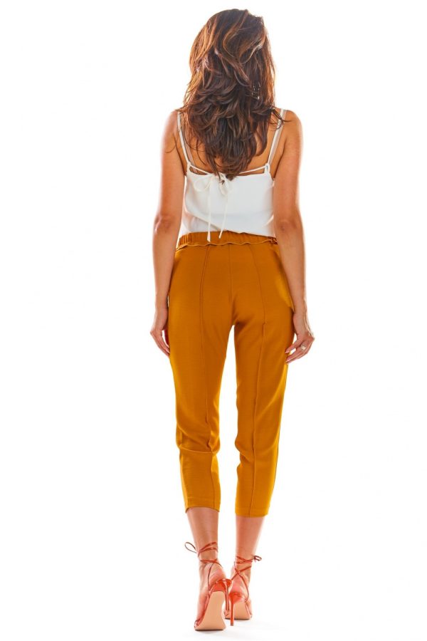 Brown Women Trousers in Pants, Trousers, Shorts with Spandex and Polyester